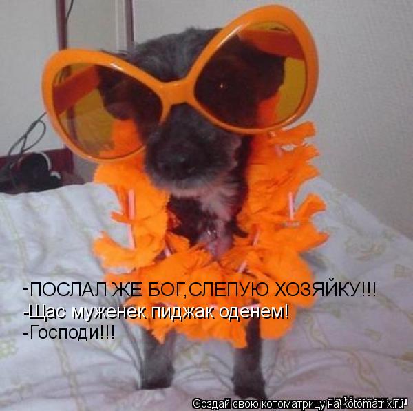 Котоматрица: ПОСЛАЛ ЖЕ БОГ,СЛЕПУЮ ХОЗЯЙКУ!!! - -Щас муженек пиджак оденем! -Господи!!!