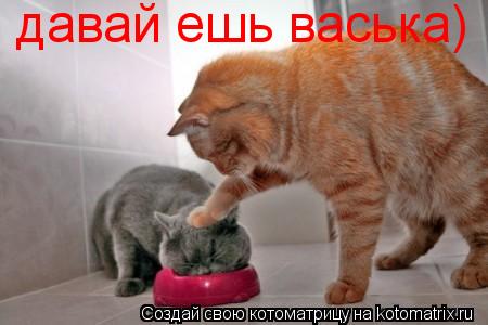 Котоматрица: давай ешь васька)