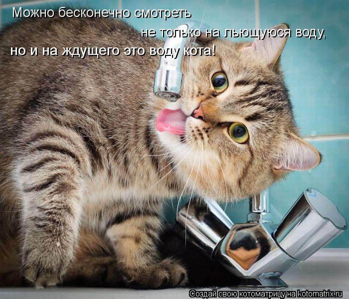 Можно бесконечно смотреть не только на льющуюся воду, но и на ждущего это воду кота!... Котоматрица: Можно бесконечно смотреть не только на льющуюся воду, но и на ждущего это воду кота!