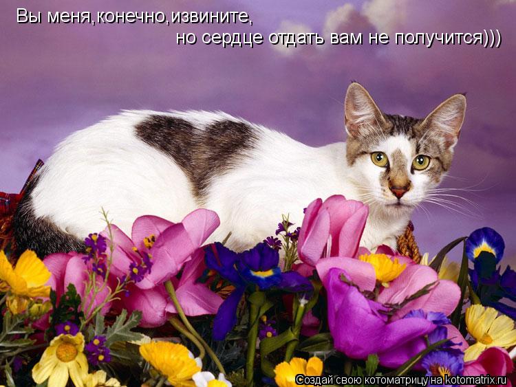 Вы меня,конечно,извините,но сердце вам отдать не получится))) Вы меня,конечно,извините, но сердце отд... Котоматрица: Вы меня,конечно,извините,но сердце вам отдать не получится))) Вы меня,конечно,извините, но сердце отдать вам не получится)))