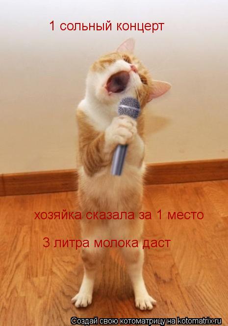 1 сольный концерт 3 литра молока даст хозяйка сказала за 1 место... Котоматрица: 1 сольный концерт 3 литра молока даст хозяйка сказала за 1 место
