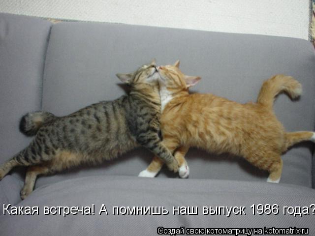 Какая встреча! А помнишь наш выпуск 1986 года?!... Котоматрица: Какая встреча! А помнишь наш выпуск 1986 года?!