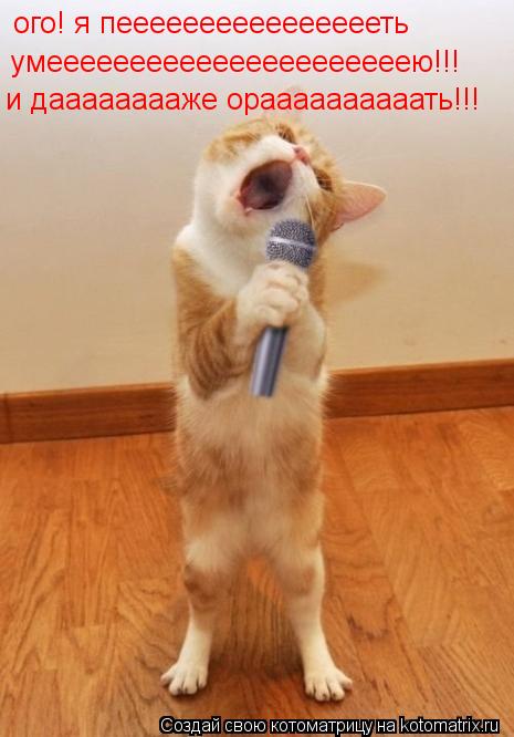 Котоматрица: ого! я пееееееееееееееееть умеееееееееееееееееееееею!!! и дааааааааже ораааааааааать!!!