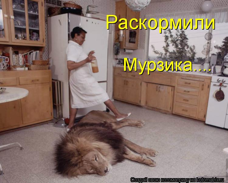 Раскормили Мурзика....... Котоматрица: Раскормили Мурзика....