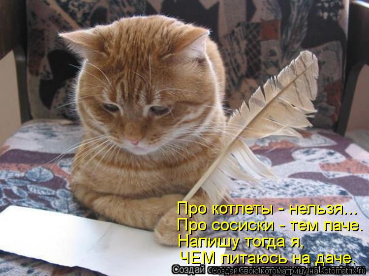 Про котлеты - нельзя... Про сосиски - тем паче. Напишу тогда я, ЧЕМ питаюсь на даче.... Котоматрица: Про котлеты - нельзя... Про сосиски - тем паче. Напишу тогда я, ЧЕМ питаюсь на даче.