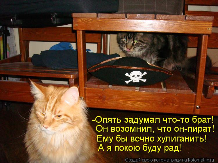 Он возомнил, что он-пират! А я покою буду рад! Ему бы вечно хулиганить! -Опять задумал что-то брат!... Котоматрица: Он возомнил, что он-пират! А я покою буду рад! Ему бы вечно хулиганить! -Опять задумал что-то брат!