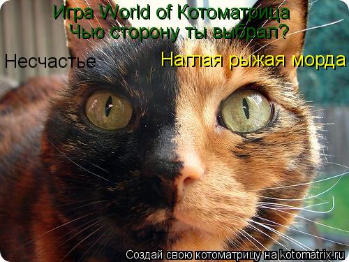 Игра World of Котоматрица Чью сторону ты выбрал? Несчастье Наглая рыжая морда... Котоматрица: Игра World of Котоматрица Чью сторону ты выбрал? Несчастье Наглая рыжая морда