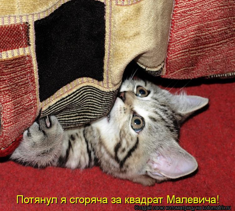 Потянул я сгоряча за квадрат Малевича!... Котоматрица: Потянул я сгоряча за квадрат Малевича!