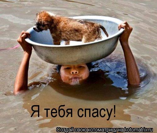 Я тебя спасу!... Котоматрица: Я тебя спасу!