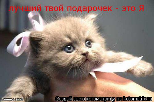 лучший твой подарочек - это Я... Котоматрица: лучший твой подарочек - это Я