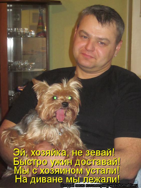 Мы с хозяином устали! На диване мы лежали! Быстро ужин доставай! Эй, хозяйка, не зевай!... Котоматрица: Мы с хозяином устали! На диване мы лежали! Быстро ужин доставай! Эй, хозяйка, не зевай!