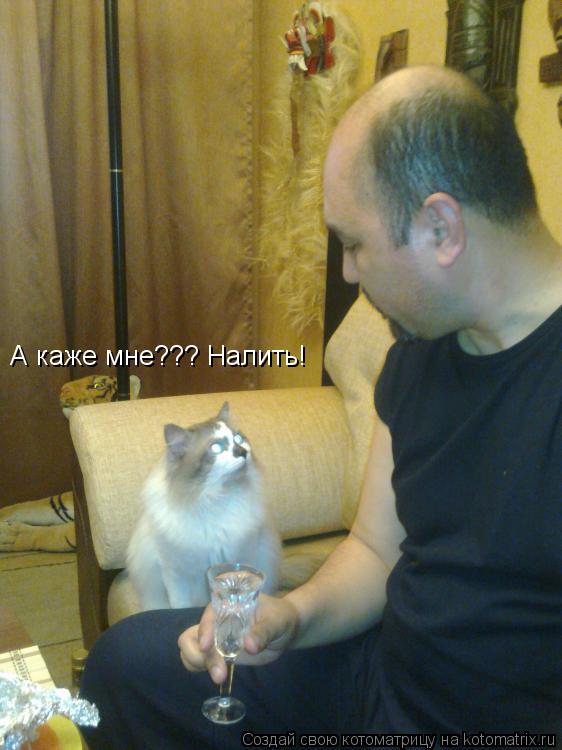 А каже мне??? Налить!... Котоматрица: А каже мне??? Налить!