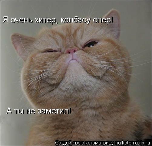 Я очень хитер, колбасу спер! А ты не заметил!... Котоматрица: Я очень хитер, колбасу спер! А ты не заметил!