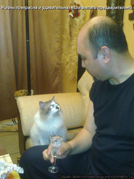 Жизнь прекрасна и удивительна, если выпить предварительно... Котоматрица: Жизнь прекрасна и удивительна, если выпить предварительно
