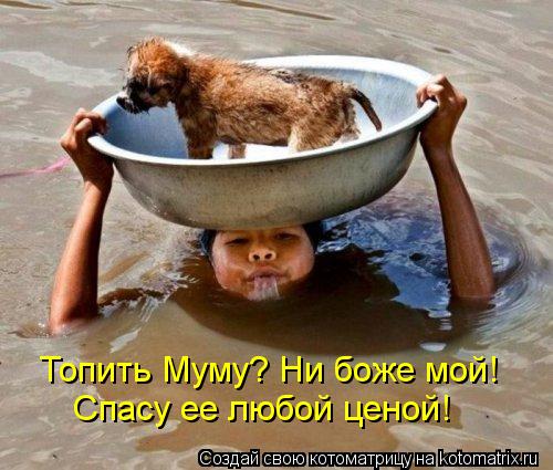 Топить Муму? Ни боже мой! Спасу ее любой ценой!... Котоматрица: Топить Муму? Ни боже мой! Спасу ее любой ценой!