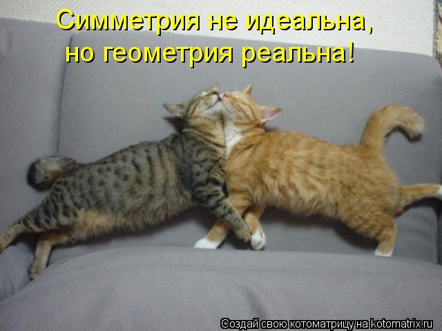 Симметрия не идеальна, но геометрия реальна!... Котоматрица: Симметрия не идеальна, но геометрия реальна!