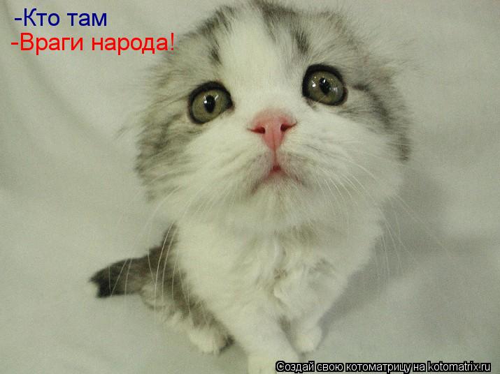 -Кто там -Враги народа!... Котоматрица: -Кто там -Враги народа!