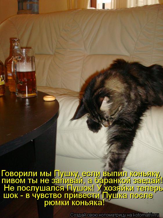 Говорили мы Пушку, если выпил коньяку, пивом ты не запивай, а баранкой заедай! Не послушался Пушок! ... Котоматрица: Говорили мы Пушку, если выпил коньяку, пивом ты не запивай, а баранкой заедай! Не послушался Пушок! У хозяйки теперь шок - в чувство привести