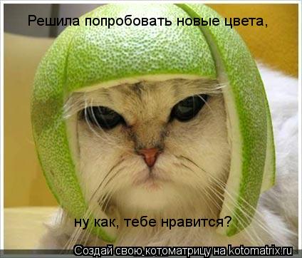 Решила попробовать новые цвета, ну как, тебе нравится?... Котоматрица: Решила попробовать новые цвета, ну как, тебе нравится?