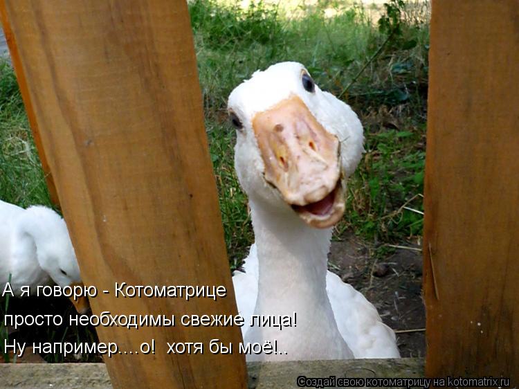 А я говорю - Котоматрице просто необходимы свежие лица! Ну например....о! хотя бы моё!..... Котоматрица: А я говорю - Котоматрице просто необходимы свежие лица! Ну например....о! хотя бы моё!..