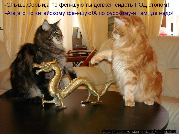 -Слышь,Серый,а по фен-шую ты должен сидеть ПОД столом! -Ага,это по китайскому фен-шую!А по русскому-я... Котоматрица: -Слышь,Серый,а по фен-шую ты должен сидеть ПОД столом! -Ага,это по китайскому фен-шую!А по русскому-я там,где надо!