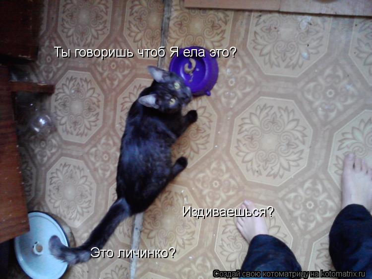 Ты говоришь чтоб Я ела это? Ты говоришь чтоб Я ела это? Издиваешься? Это личинко?... Котоматрица: Ты говоришь чтоб Я ела это? Ты говоришь чтоб Я ела это? Издиваешься? Это личинко?