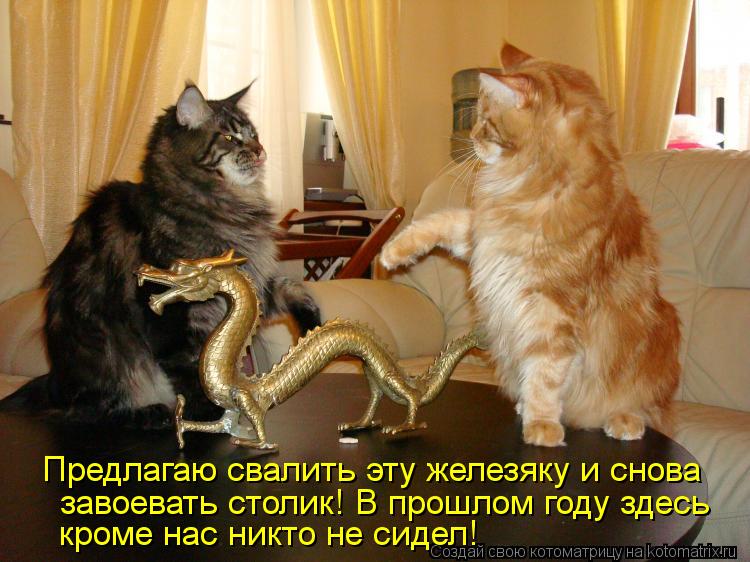 Предлагаю свалить эту железяку и снова завоевать столик! В прошлом году здесь кроме нас никто не сид... Котоматрица: Предлагаю свалить эту железяку и снова завоевать столик! В прошлом году здесь кроме нас никто не сидел!