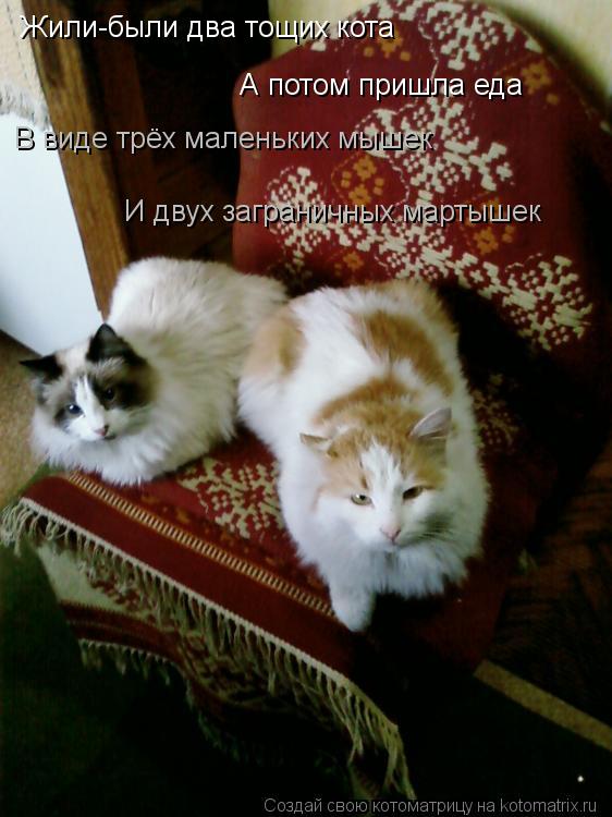 Жили-были два тощих кота А потом пришла еда В виде трёх маленьких мышек В виде трёх маленьких мышек И... Котоматрица: Жили-были два тощих кота А потом пришла еда В виде трёх маленьких мышек В виде трёх маленьких мышек И двух заграничных мартышек