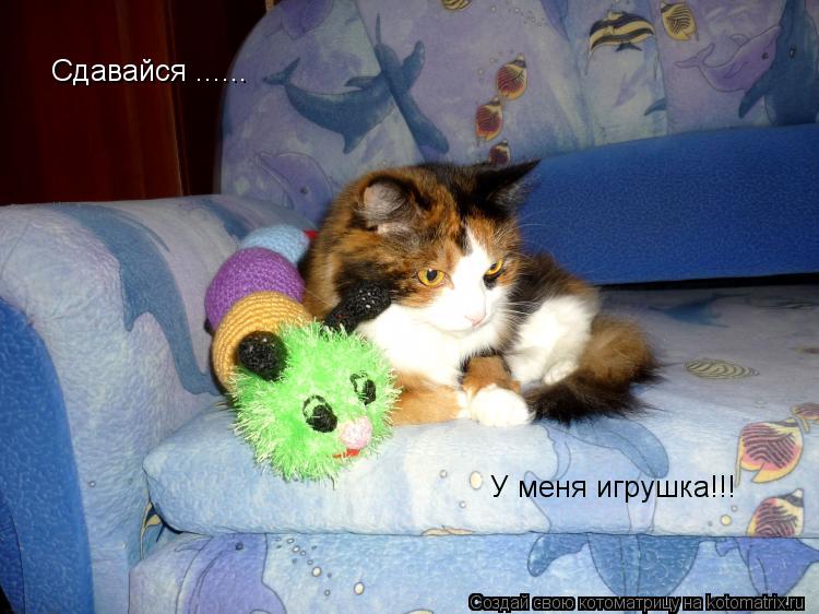 Сдавайся ...... У меня игрушка!!!... Котоматрица: Сдавайся ...... У меня игрушка!!!