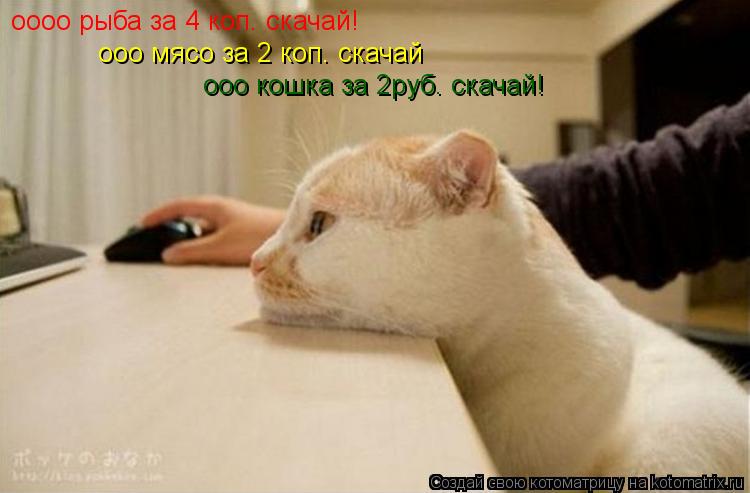 оооо рыба за 4 коп. скачай! ооо мясо за 2 коп. скачай ооо кошка за 2руб. скачай!... Котоматрица: оооо рыба за 4 коп. скачай! ооо мясо за 2 коп. скачай ооо кошка за 2руб. скачай!