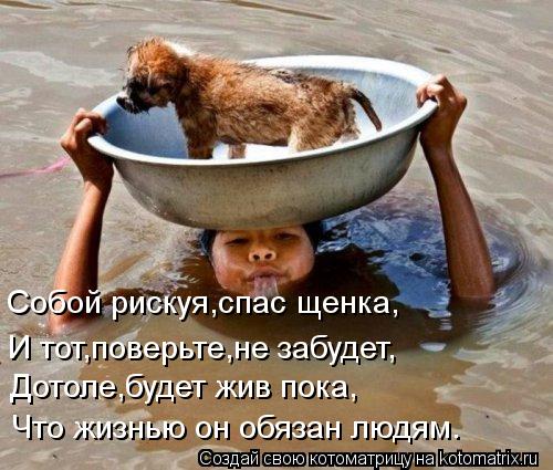 Собой рискуя,спас щенка, И тот,поверьте,не забудет, Дотоле,будет жив пока, Что жизнью он обязан людям... Котоматрица: Собой рискуя,спас щенка, И тот,поверьте,не забудет, Дотоле,будет жив пока, Что жизнью он обязан людям.