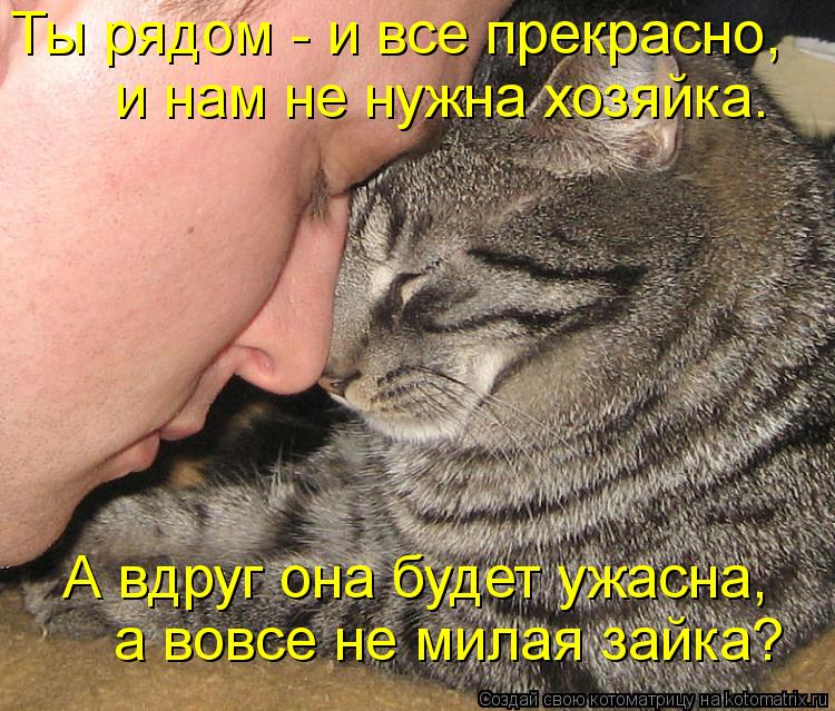 Ты рядом - и все прекрасно, и нам не нужна хозяйка. А вдруг она будет ужасна, а вовсе не милая зай... Котоматрица: Ты рядом - и все прекрасно, и нам не нужна хозяйка. А вдруг она будет ужасна, а вовсе не милая зайка?