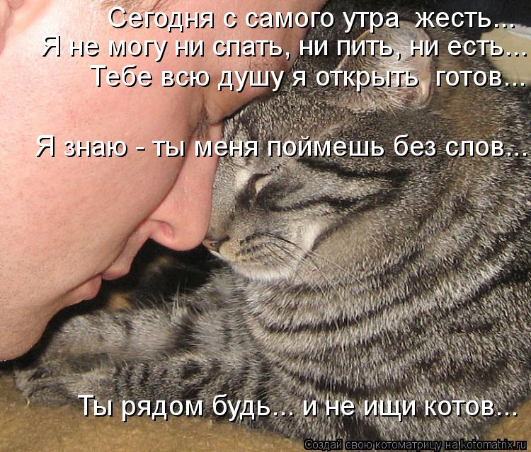 Сегодня с самого утра жесть... Я не могу ни спать, ни пить, ни есть... Тебе всю душу я открыть гото... Котоматрица: Сегодня с самого утра жесть... Я не могу ни спать, ни пить, ни есть... Тебе всю душу я открыть готов... Ты рядом будь... и не ищи котов... Я знаю -