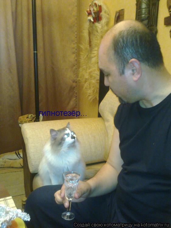 гипнотезёр...... Котоматрица: гипнотезёр...