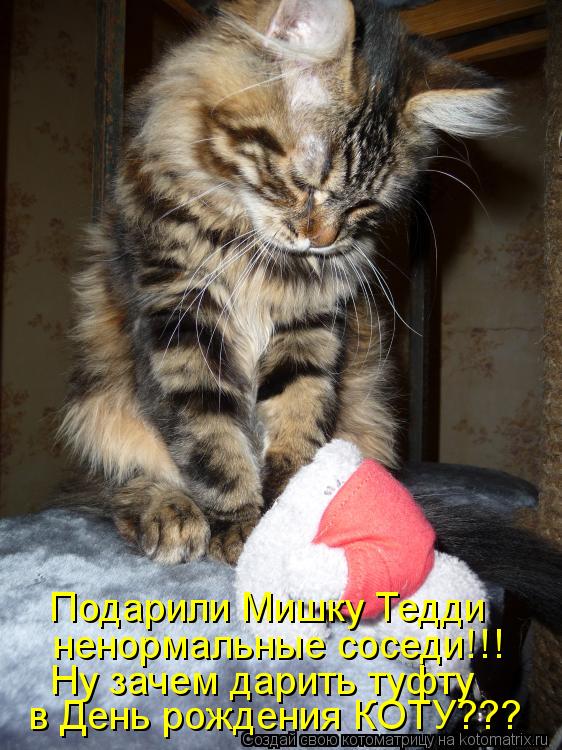 Подарили Мишку Тедди ненормальные соседи!!! Ну зачем дарить туфту в День рождения КОТУ???... Котоматрица: Подарили Мишку Тедди ненормальные соседи!!! Ну зачем дарить туфту в День рождения КОТУ???