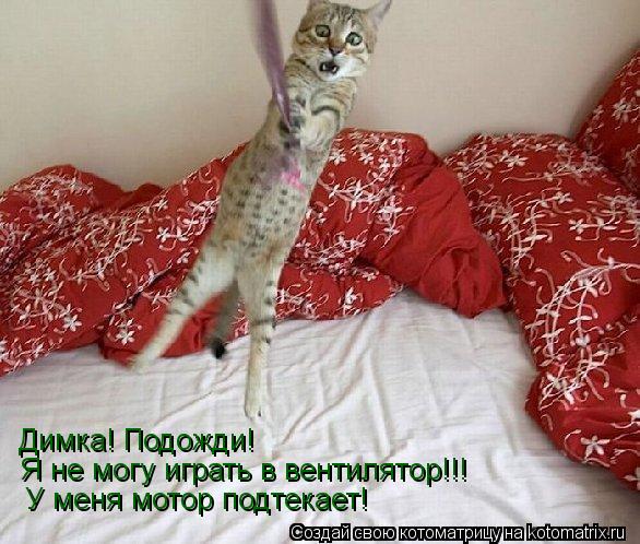 Димка! Подожди! Я не могу играть в вентилятор!!! У меня мотор подтекает!... Котоматрица: Димка! Подожди! Я не могу играть в вентилятор!!! У меня мотор подтекает!
