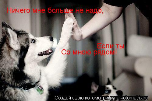 Ничего мне больше не надо, Если ты Со мною рядом!... Котоматрица: Ничего мне больше не надо, Если ты Со мною рядом!
