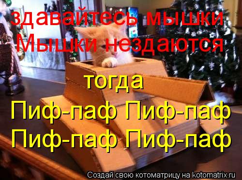 здавайтесь мышки Мышки нездаются тогда Пиф-паф Пиф-паф Пиф-паф Пиф-паф... Котоматрица: здавайтесь мышки Мышки нездаются тогда Пиф-паф Пиф-паф Пиф-паф Пиф-паф