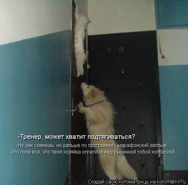 -Тренер, может хватит подтягиваться? -Ну, как скажешь, но дальше по программе - марафонский заплыв. ... Котоматрица: -Тренер, может хватит подтягиваться? -Ну, как скажешь, но дальше по программе - марафонский заплыв. Это пока все, что твоя хозяйка оплатила на