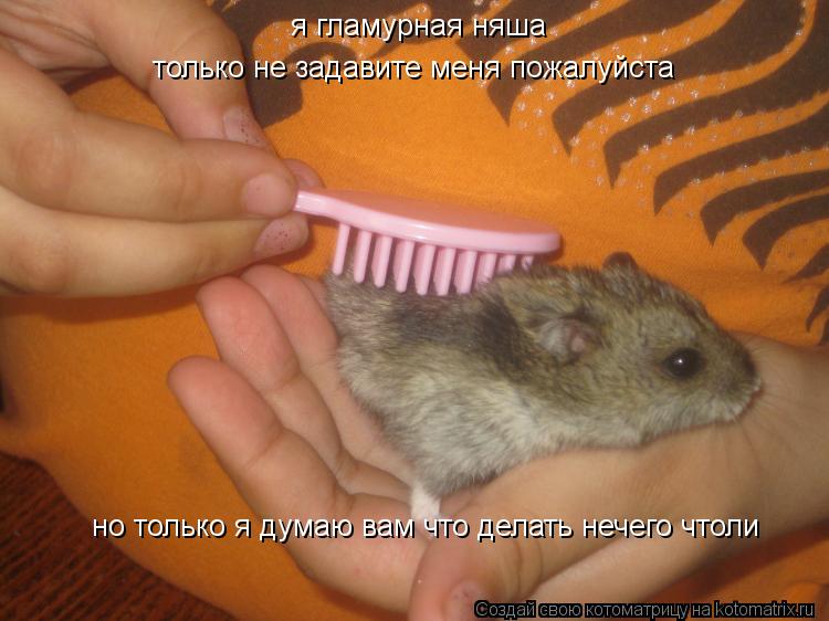 я гламурная няша только не задавите меня пожалуйста но только я думаю вам что делать нечего чтоли... Котоматрица: я гламурная няша только не задавите меня пожалуйста но только я думаю вам что делать нечего чтоли