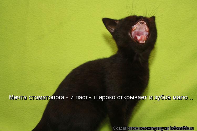 Мечта стоматолога - и пасть широко открывает и зубов мало...... Котоматрица: Мечта стоматолога - и пасть широко открывает и зубов мало...