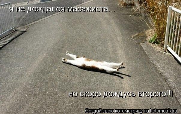 я не дождался масажиста.... но скоро дождусь второго!!!... Котоматрица: я не дождался масажиста.... но скоро дождусь второго!!!