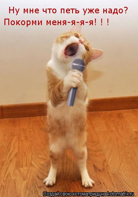 Ну мне что петь уже надо? Покорми меня-я-я-я! ! !... Котоматрица: Ну мне что петь уже надо? Покорми меня-я-я-я! ! !