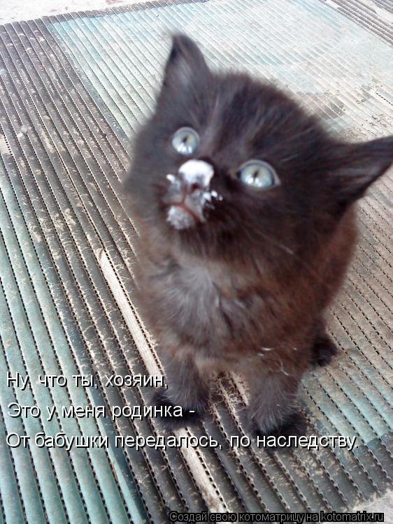 Ну, что ты, хозяин, Это у меня родинка - От бабушки передалось, по наследству.... Котоматрица: Ну, что ты, хозяин, Это у меня родинка - От бабушки передалось, по наследству.