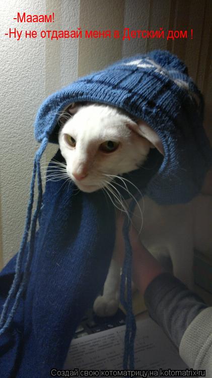 -Мааам! -Ну не отдавай меня в Детский дом !... Котоматрица: -Мааам! -Ну не отдавай меня в Детский дом !