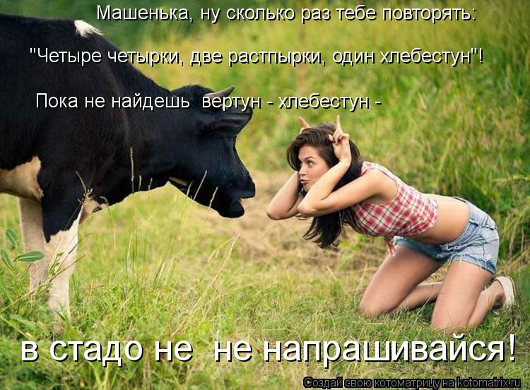 Машенька, ну сколько раз тебе повторять: "Четыре четырки, две растпырки, один хлебестун"! Пока не най... Котоматрица: Машенька, ну сколько раз тебе повторять: "Четыре четырки, две растпырки, один хлебестун"! Пока не найдешь вертун - хлебестун - в стадо не не н
