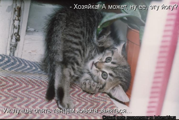 - Хозяйка! А может, ну ее, эту йогу? Уж лучше опять танцем живота заняться...... Котоматрица: - Хозяйка! А может, ну ее, эту йогу? Уж лучше опять танцем живота заняться...