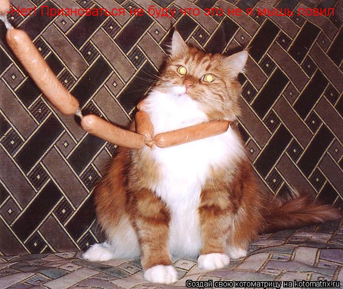 -Нет! Призноваться не буду что это не я мышь ловил... Котоматрица: -Нет! Призноваться не буду что это не я мышь ловил