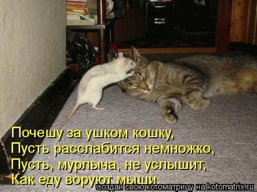 Почешу за ушком кошку, Пусть расслабится немножко, Пусть, мурлыча, не услышит, Как еду воруют мыши.... Котоматрица: Почешу за ушком кошку, Пусть расслабится немножко, Пусть, мурлыча, не услышит, Как еду воруют мыши.
