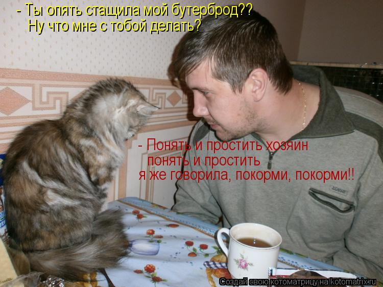 - Ты опять стащила мой бутерброд?? Ну что мне с тобой делать? - Понять и простить хозяин понять и пр... Котоматрица: - Ты опять стащила мой бутерброд?? Ну что мне с тобой делать? - Понять и простить хозяин понять и простить я же говорила, покорми, покорми!!